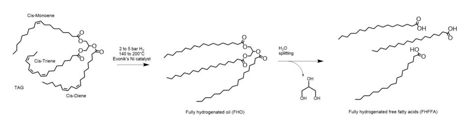 Figure 3.  The full hydrogenation of triglycerides followed by splitting for the manufacture of saturated free fatty acids.
